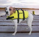 DOG LIFE VEST